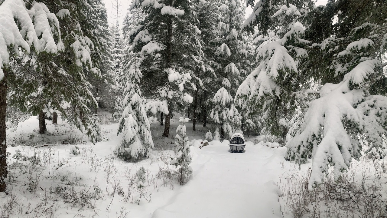 Photo of Outdoor in Athol