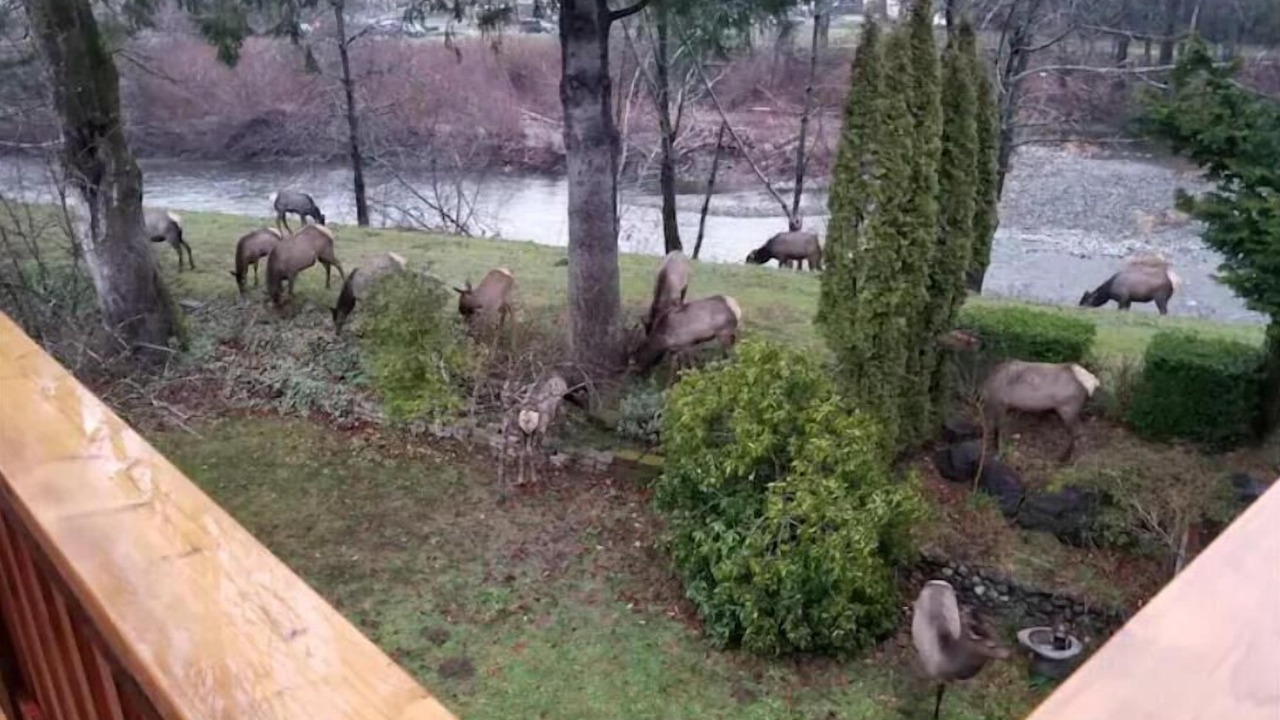 Photo of Outdoor in North Bend