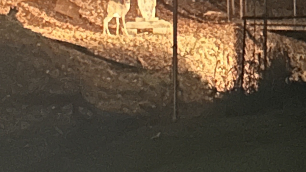 Photo of Bedroom in Howard