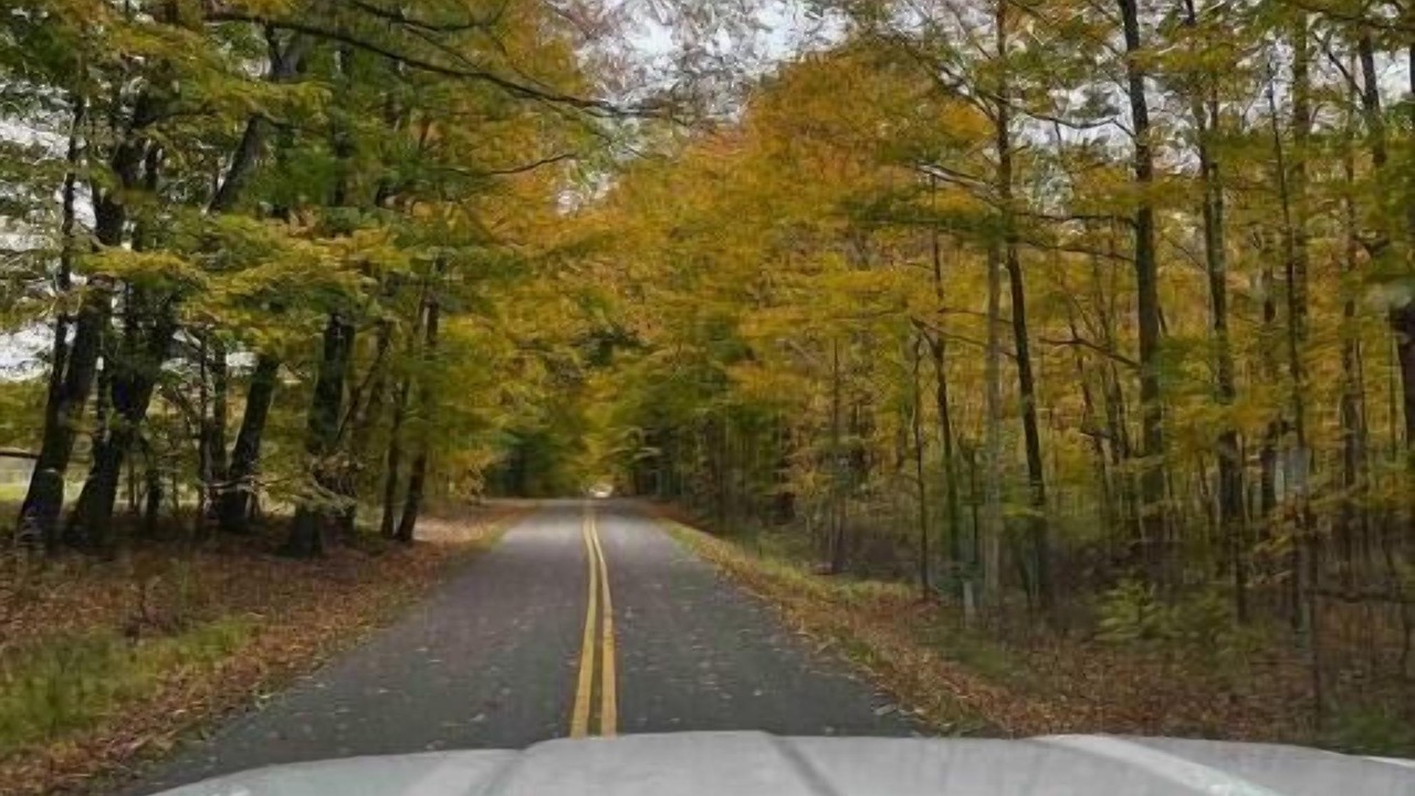 Photo of Outdoor in Westford