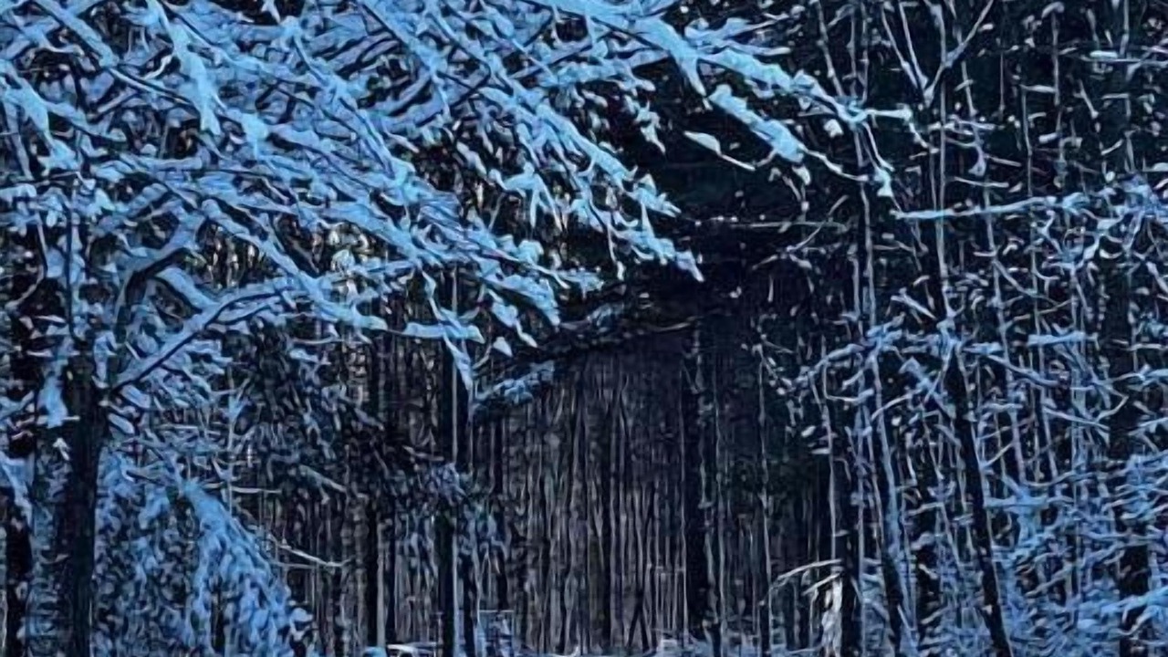 Photo of Outdoor in Westford