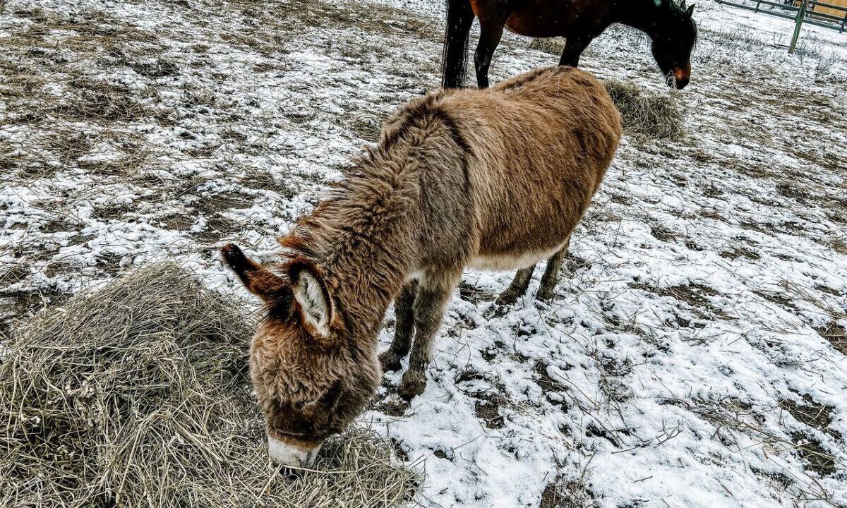 Photo of Others in West Newton