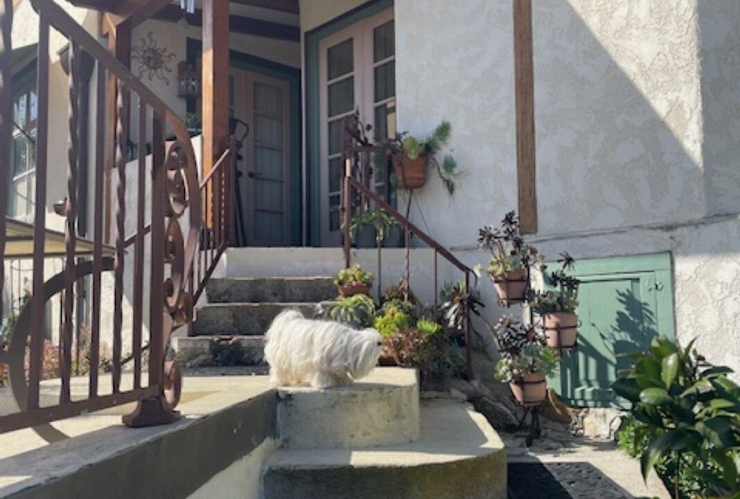 Photo of Outdoor in Northwest San Pedro