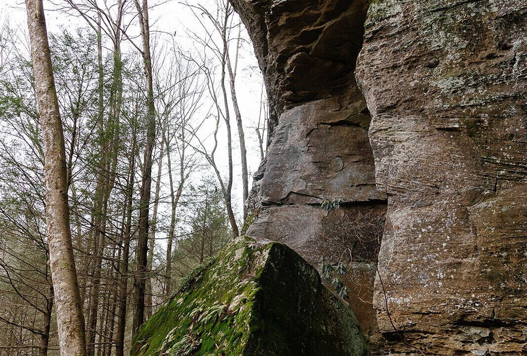 Photo of Others in Campton