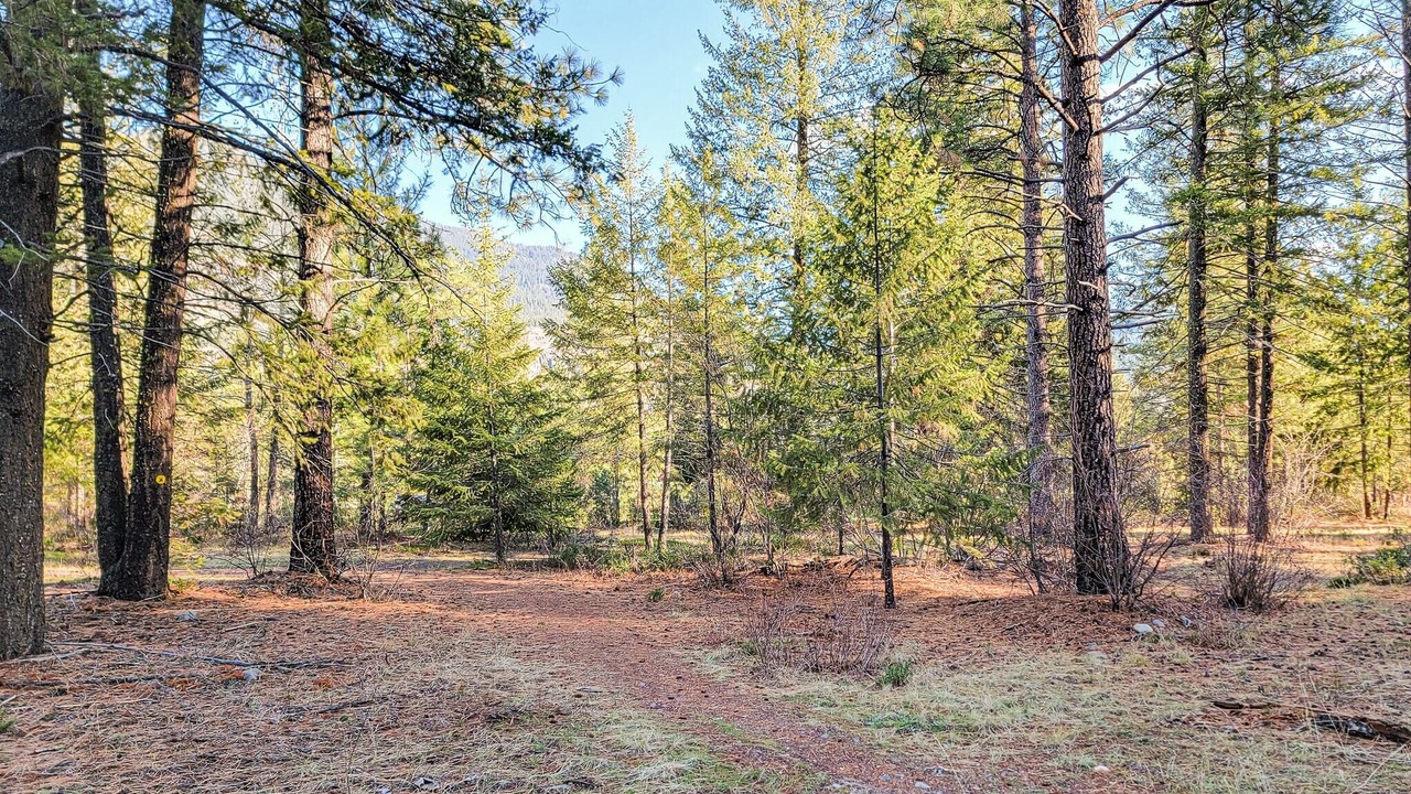 Photo of Others in Mazama