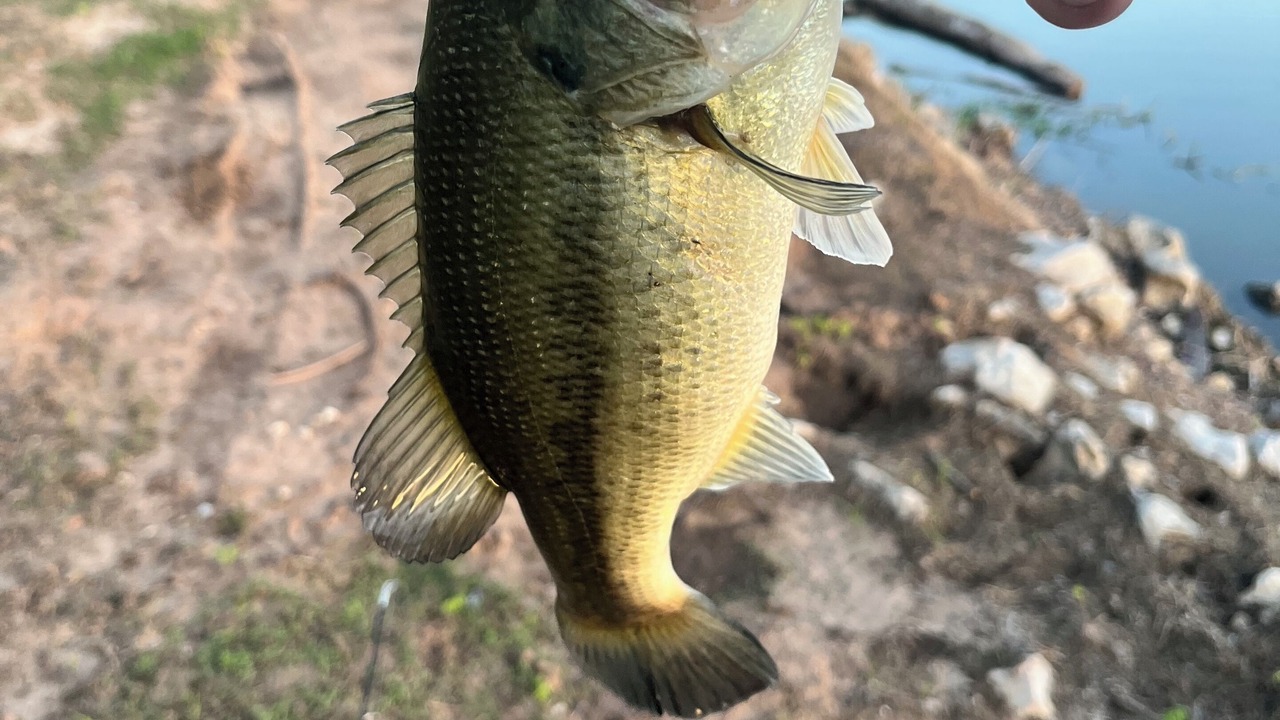 Photo of Others in Wright