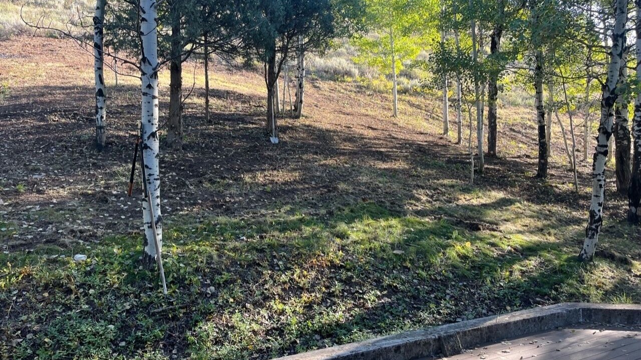 Photo of Outdoor in Alpine Northeast