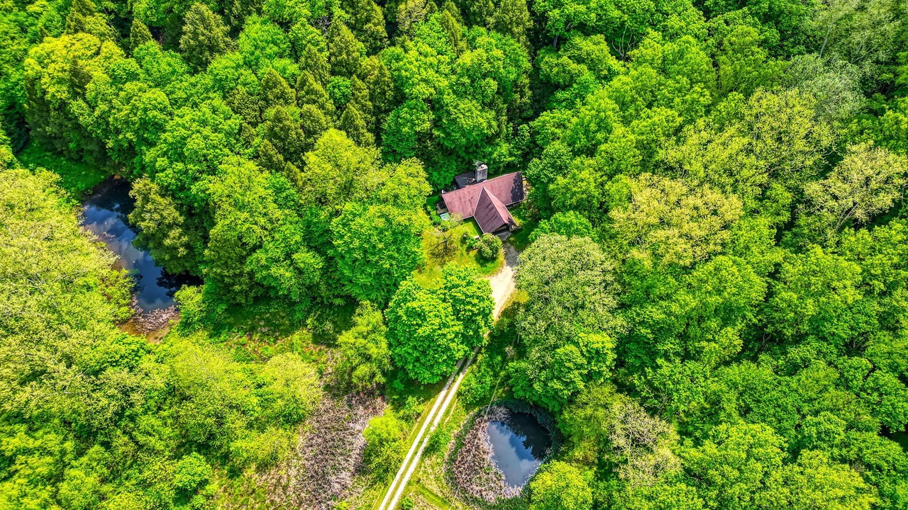 Photo of Outdoor in Sugar Grove