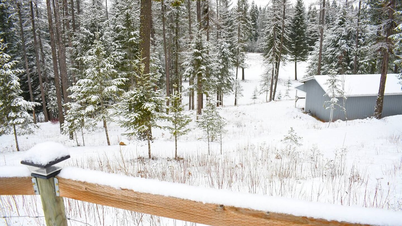 Photo of Outdoor in Hayden
