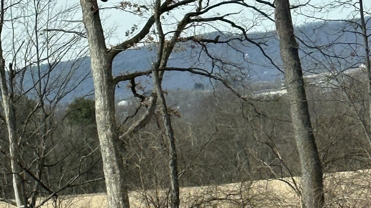 Photo of Others in Bellefonte