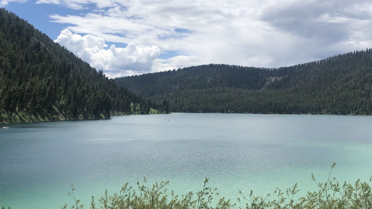 Photo of Outdoor in Cameron