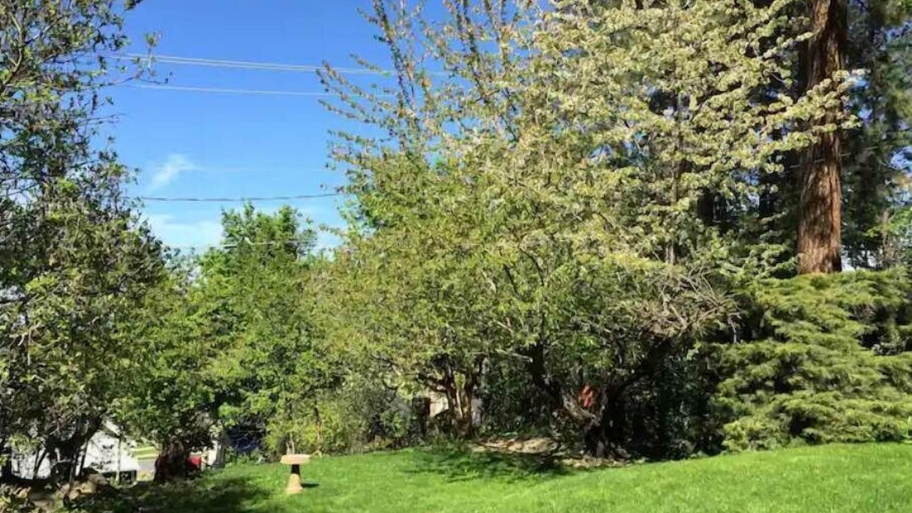 Photo of Others in South Perry District
