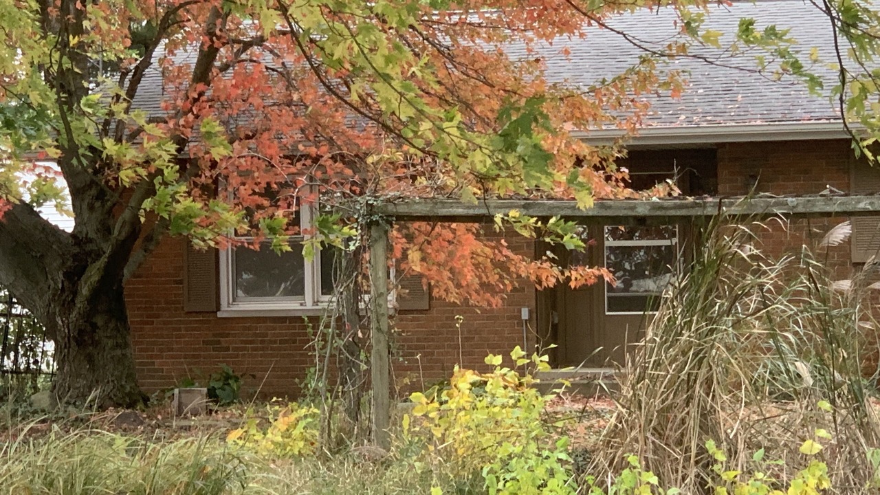 Photo of Outdoor in Brookston