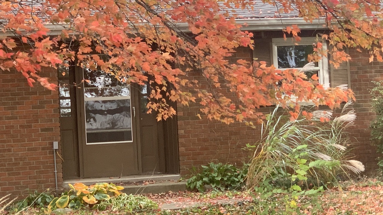 Photo of Outdoor in Brookston
