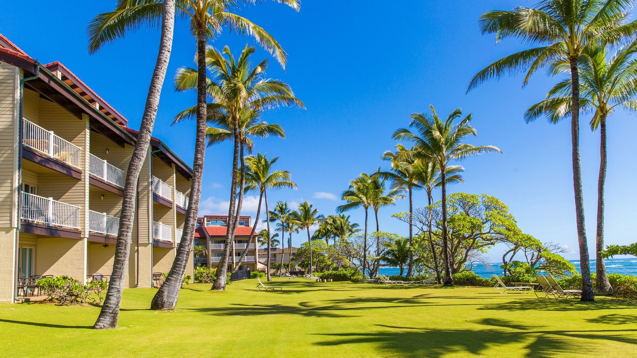 Photo of Others in Kapaa