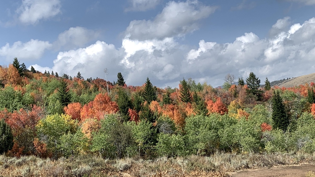 Photo of Outdoor in Sweetwater
