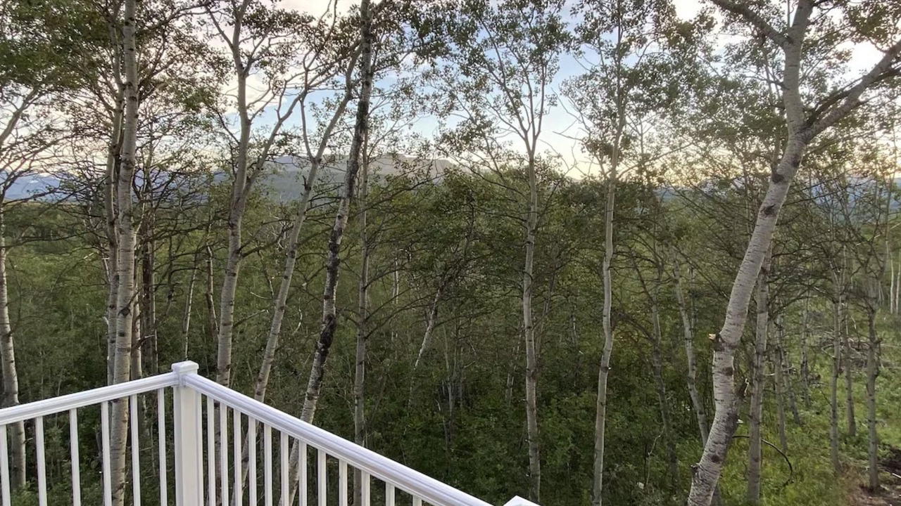Photo of Outdoor in Babb