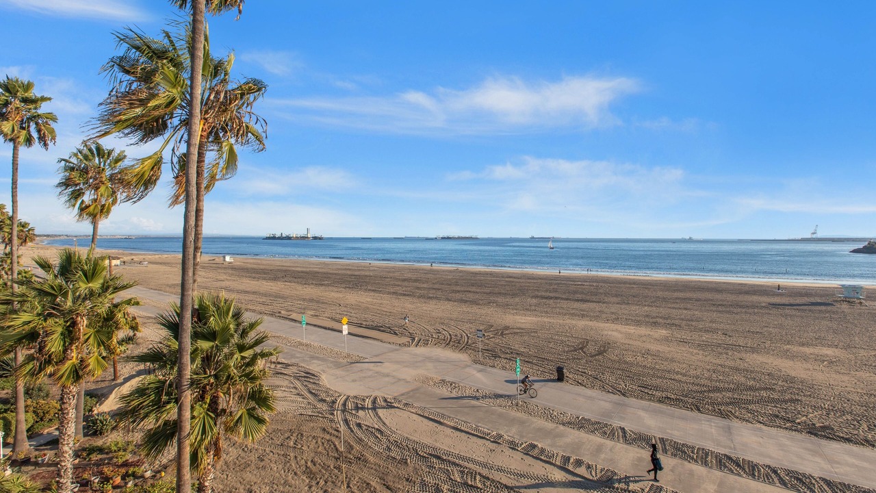 Photo of Others in Alamitos Beach