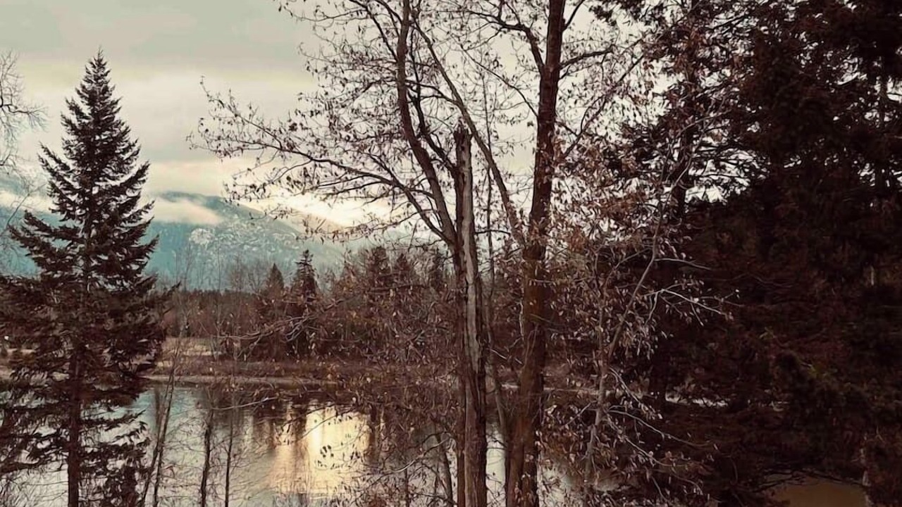 Photo of Others in Columbia Falls