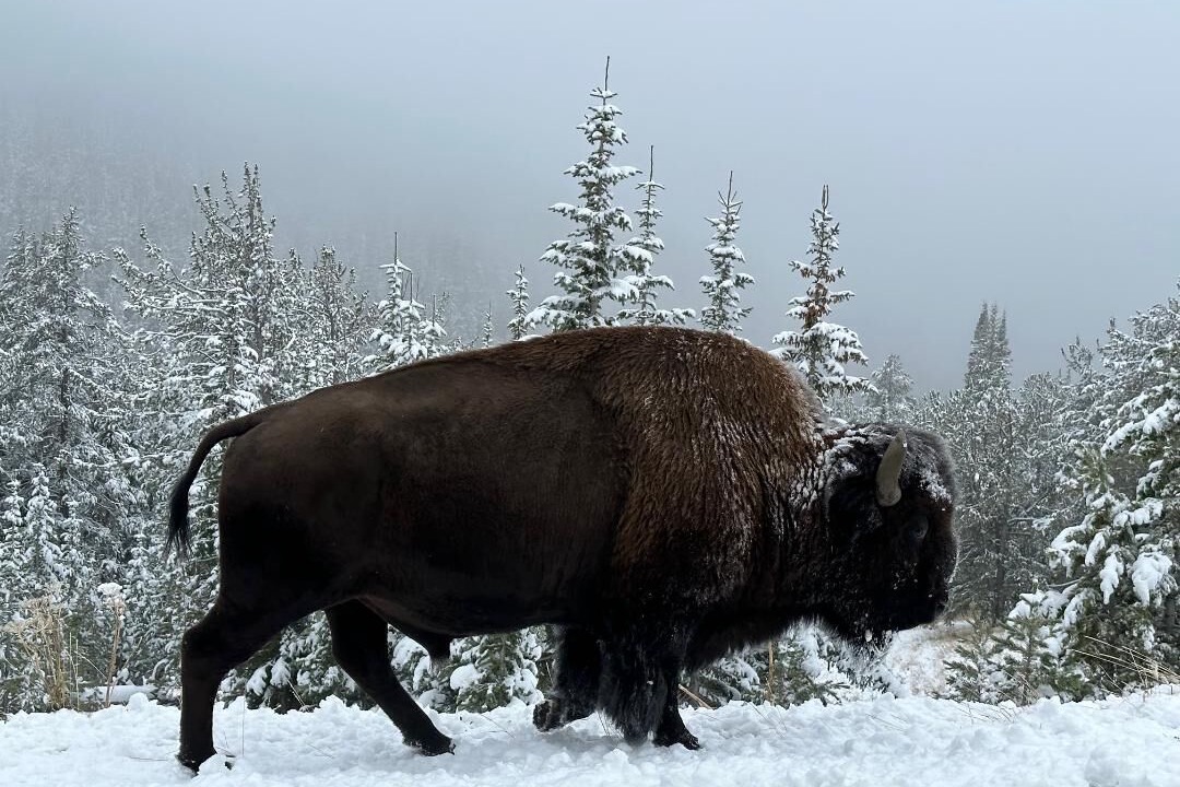 Photo of Others in Granite Ridge