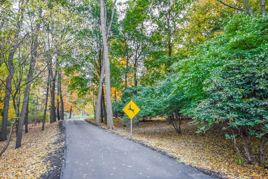 Photo of Outdoor in North Canton