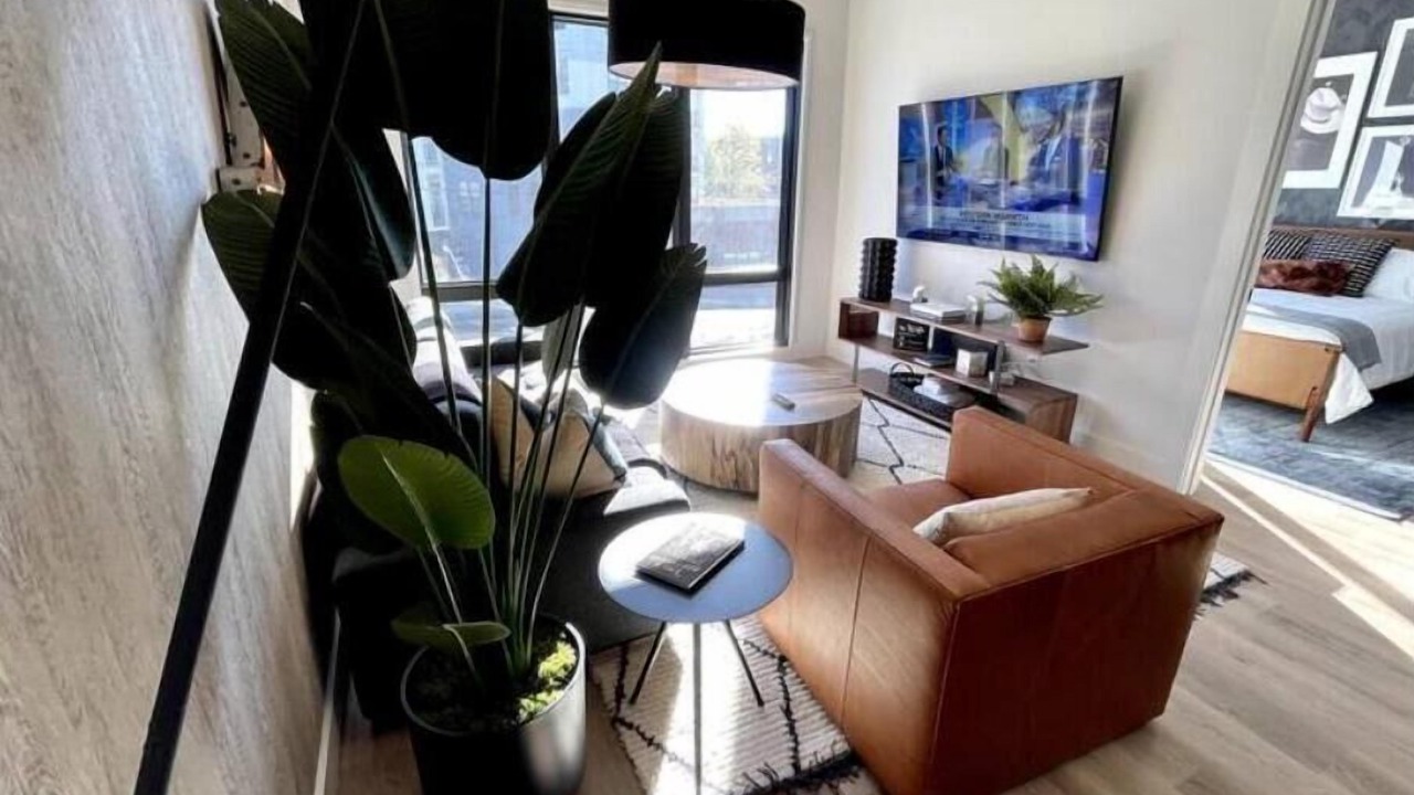 Photo of Bedroom in West End