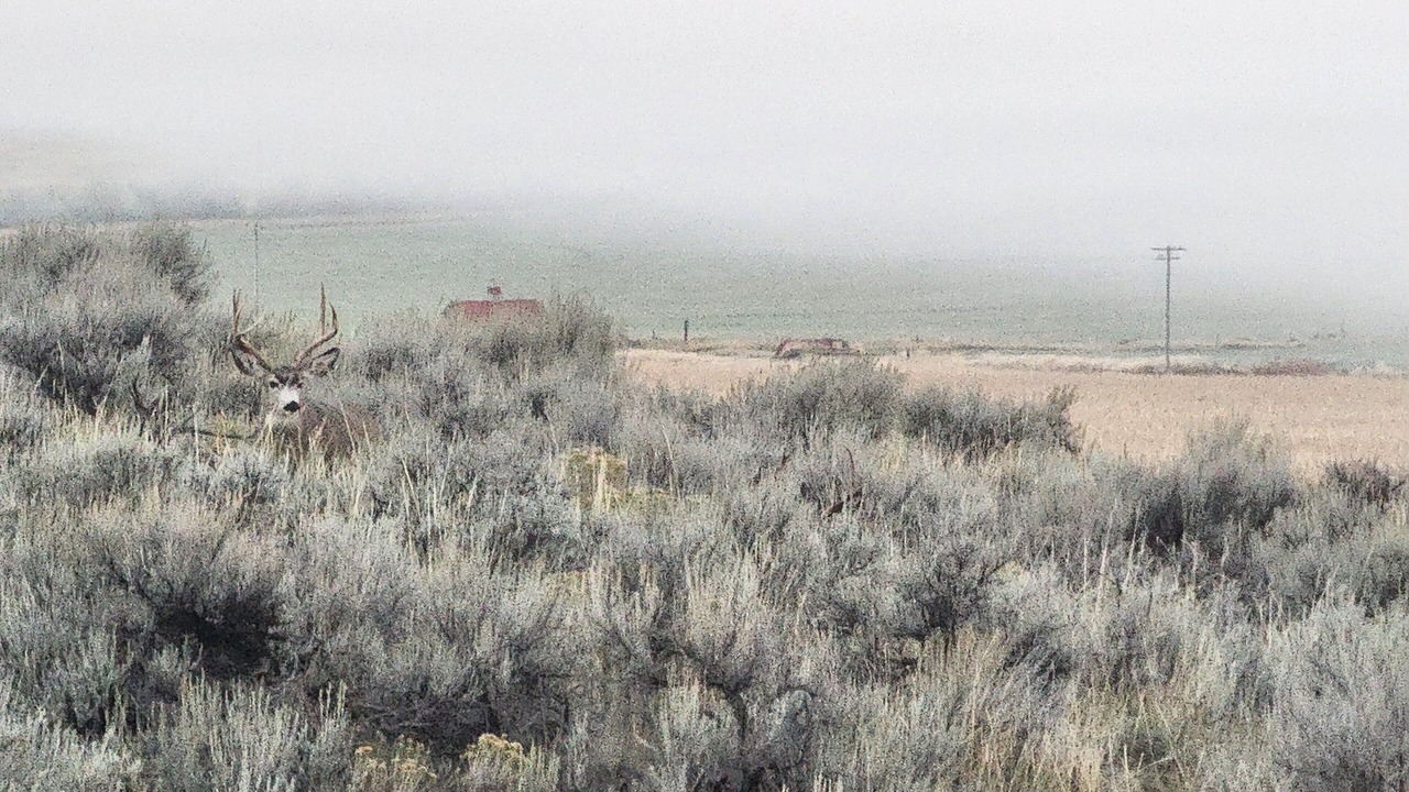 Photo of Others in Three Forks