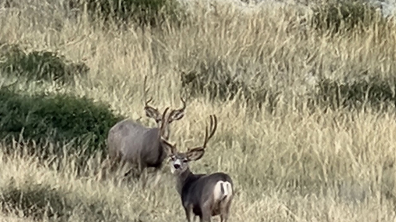 Photo of Others in Three Forks