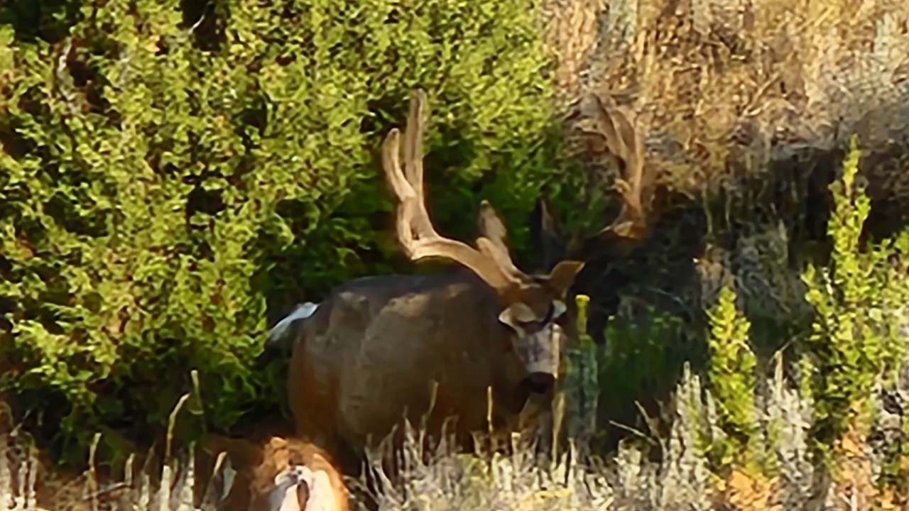 Photo of Outdoor in Three Forks