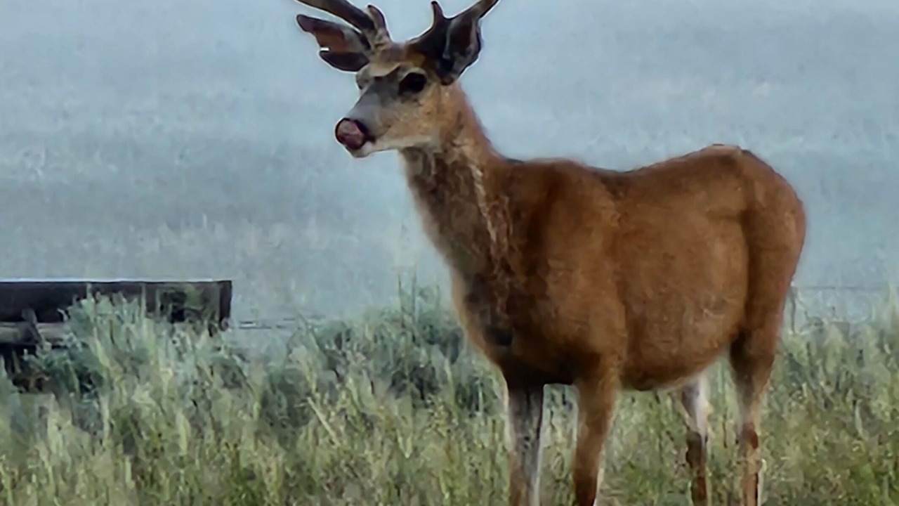 Photo of Outdoor in Three Forks
