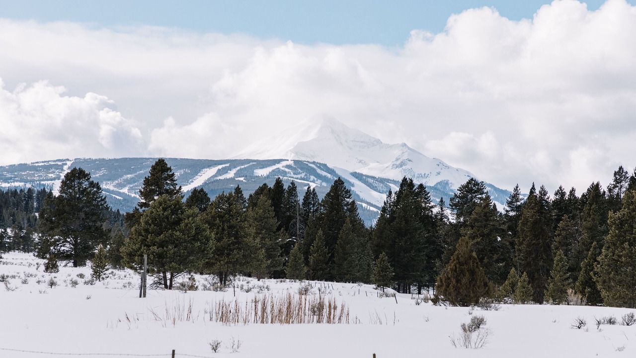 Photo of Others in Porcupine Park