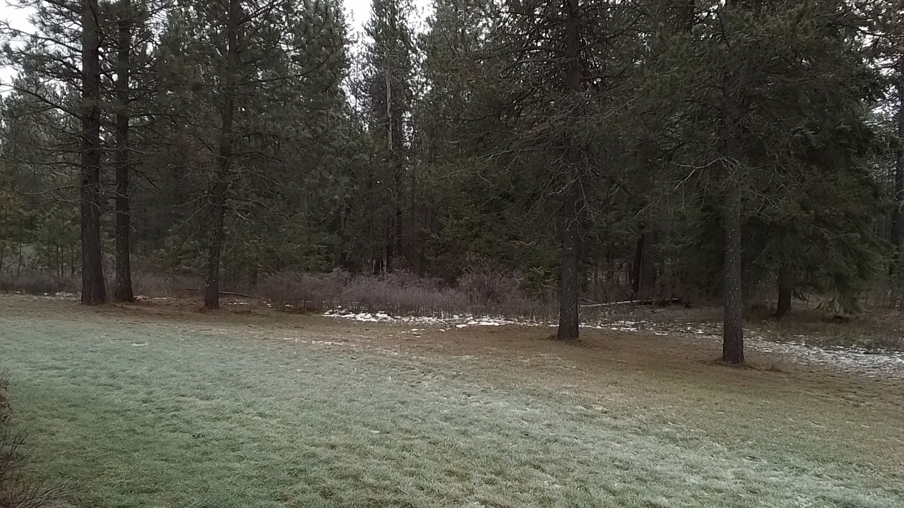 Photo of Others in Kootenai County