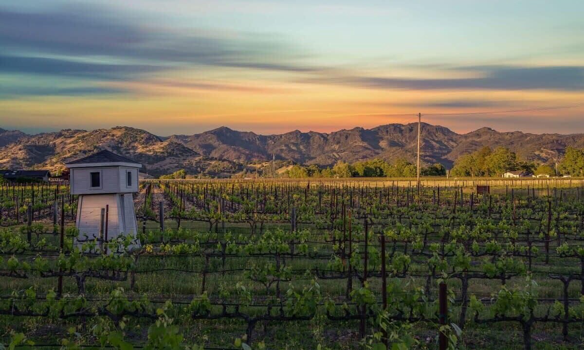 Photo of Others in Calistoga