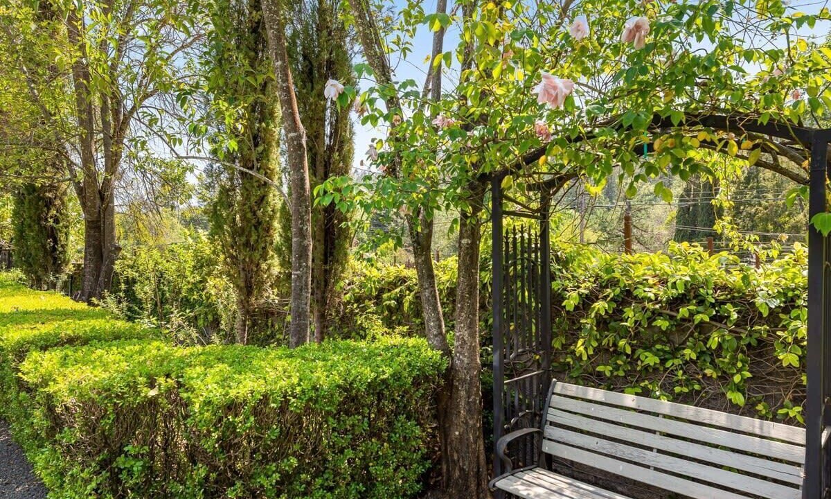 Photo of Outdoor in Calistoga