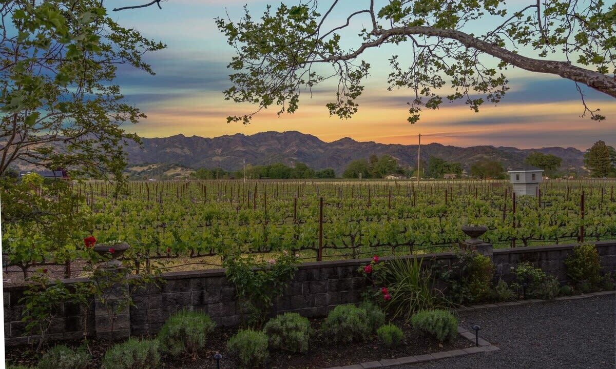 Photo of Others in Calistoga