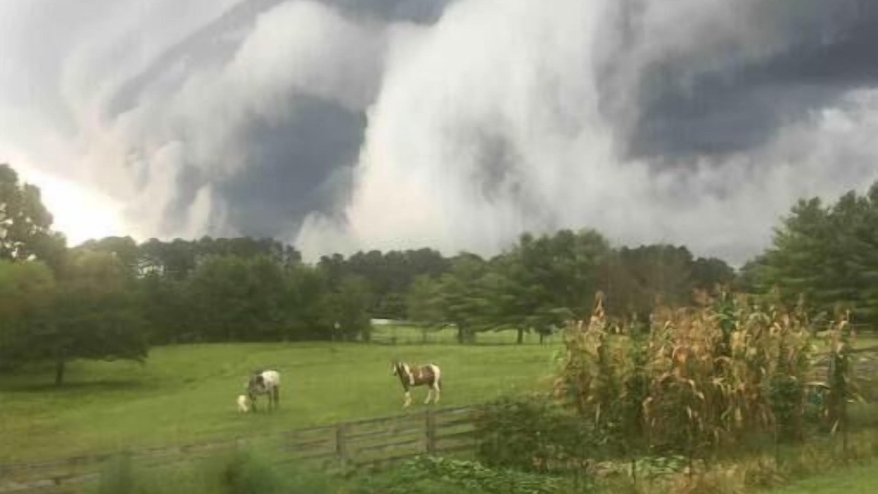 Photo of Others in Pittsboro