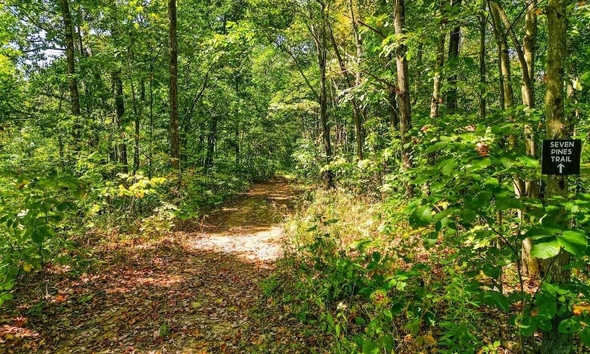 Photo of Outdoor in Nelsonville