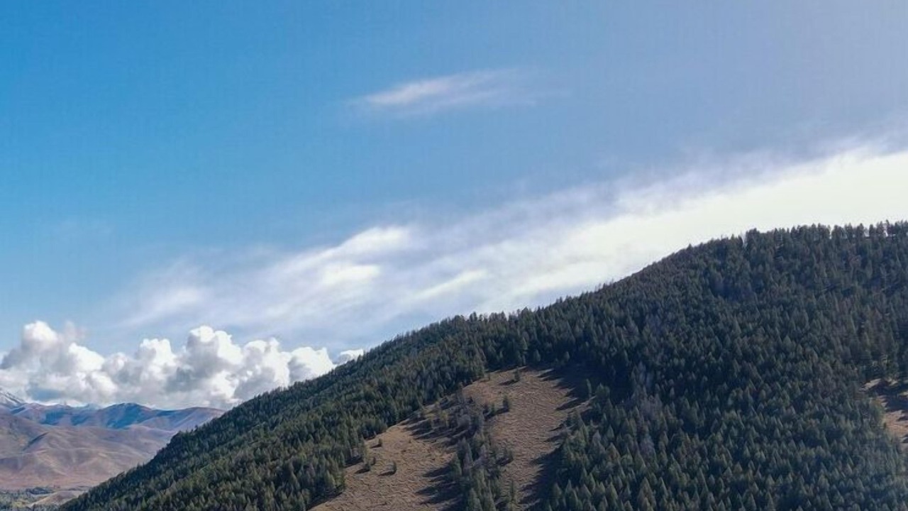 Photo of Others in Warm Springs