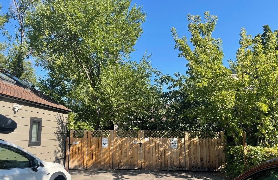 Photo of Outdoor in Old Bend