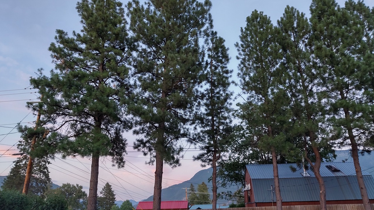 Photo of Outdoor in Columbia Falls