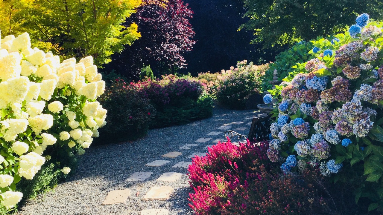 Photo of Outdoor in Hansville
