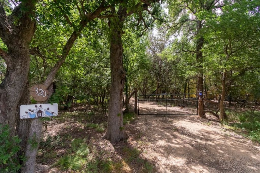 Photo of Outdoor in San Marcos