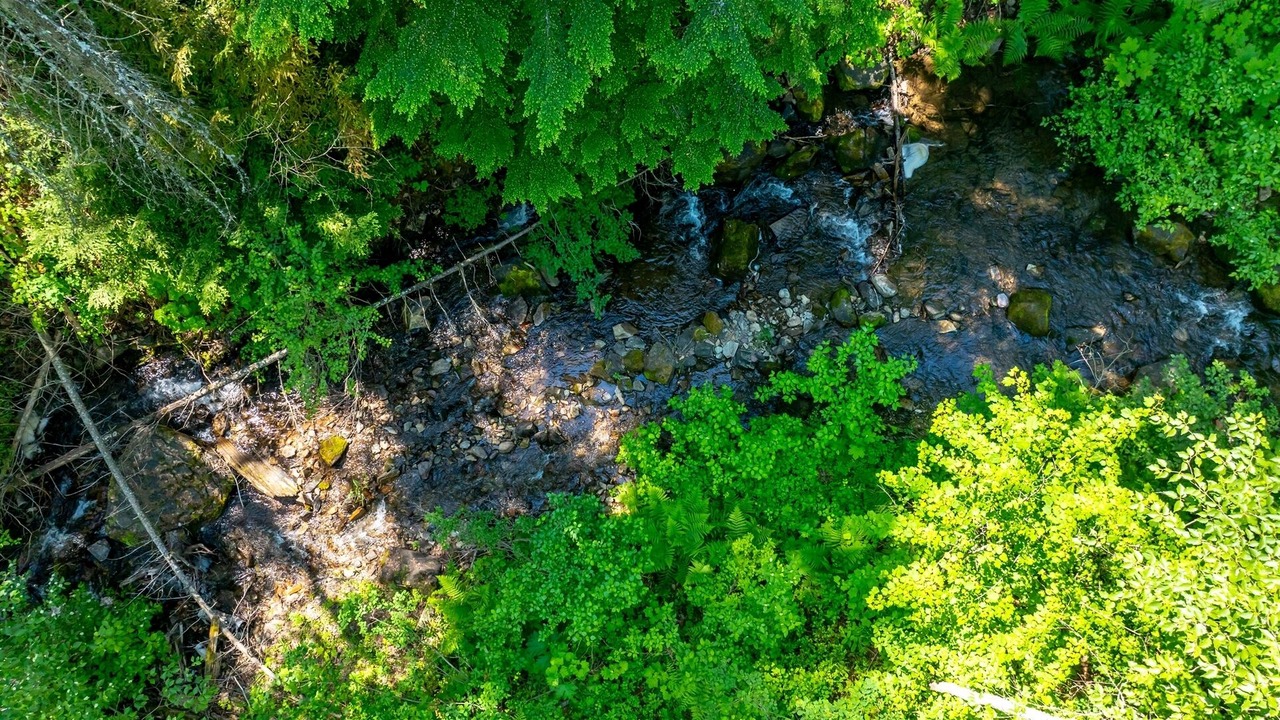 Photo of Others in Columbia Falls