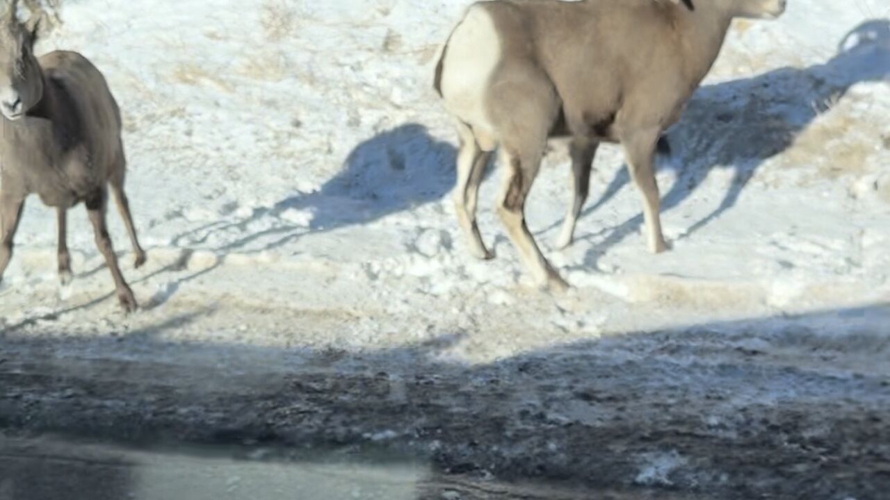 Photo of Others in Gallatin Gateway