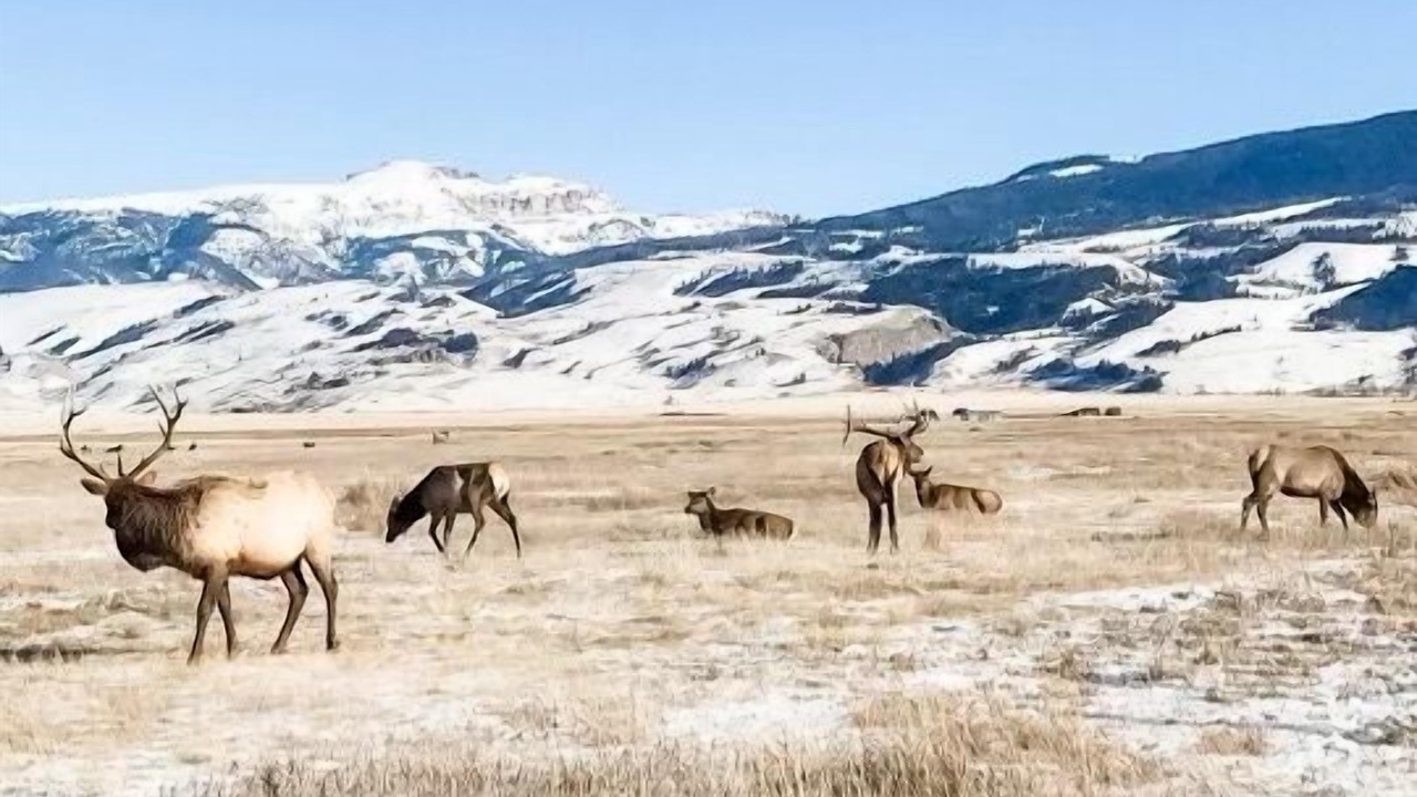 Photo of Outdoor in Jackson Hole
