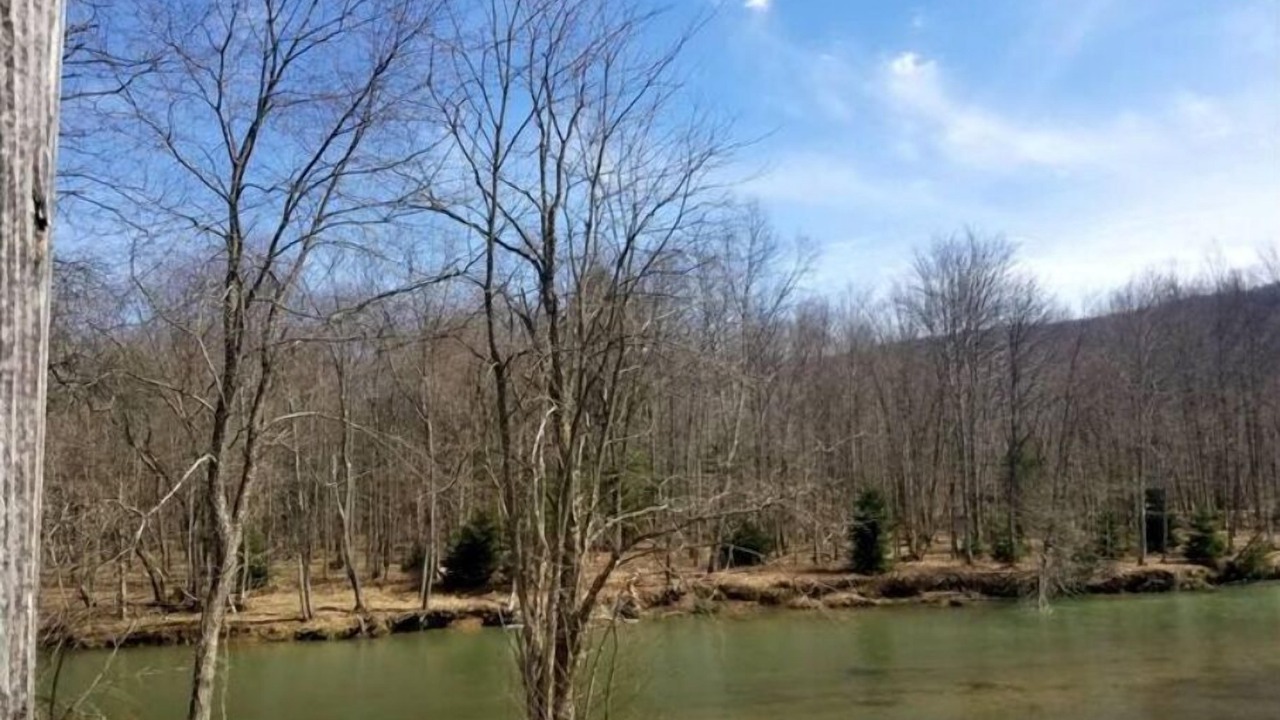 Photo of Others in Byrnedale