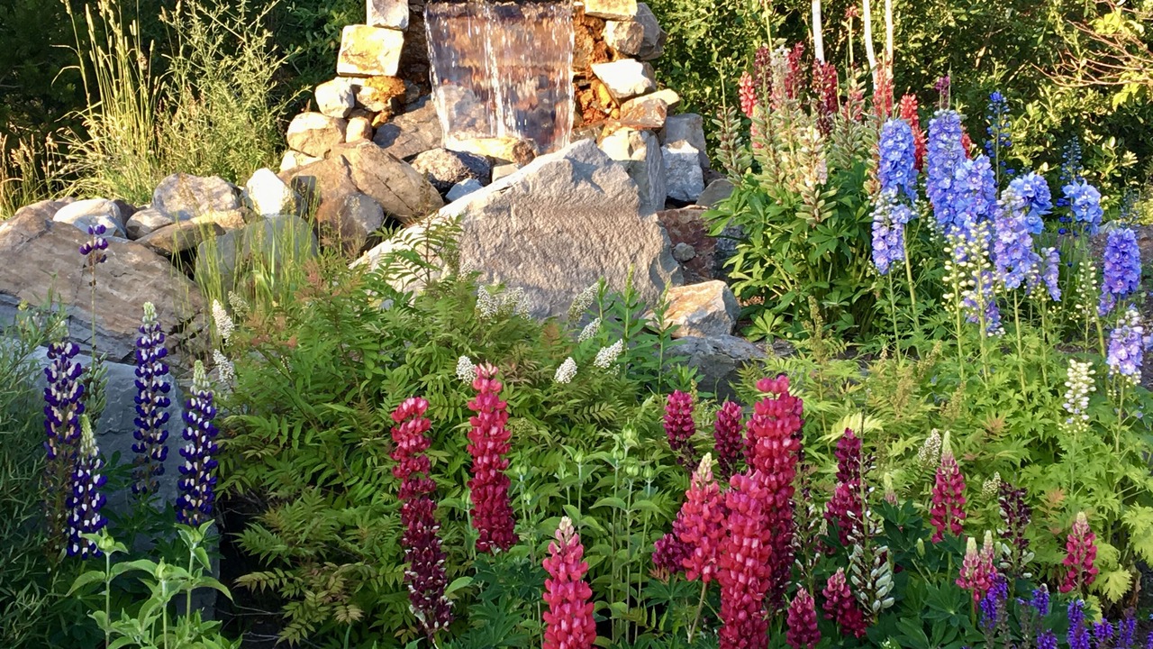 Photo of Others in East Glacier Park