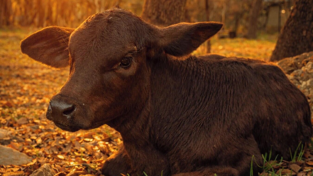 Photo of Others in San Marcos