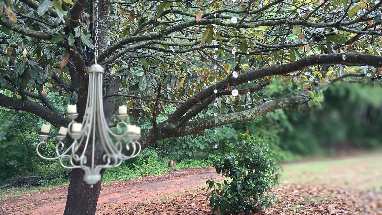 Photo of Outdoor in Lancaster