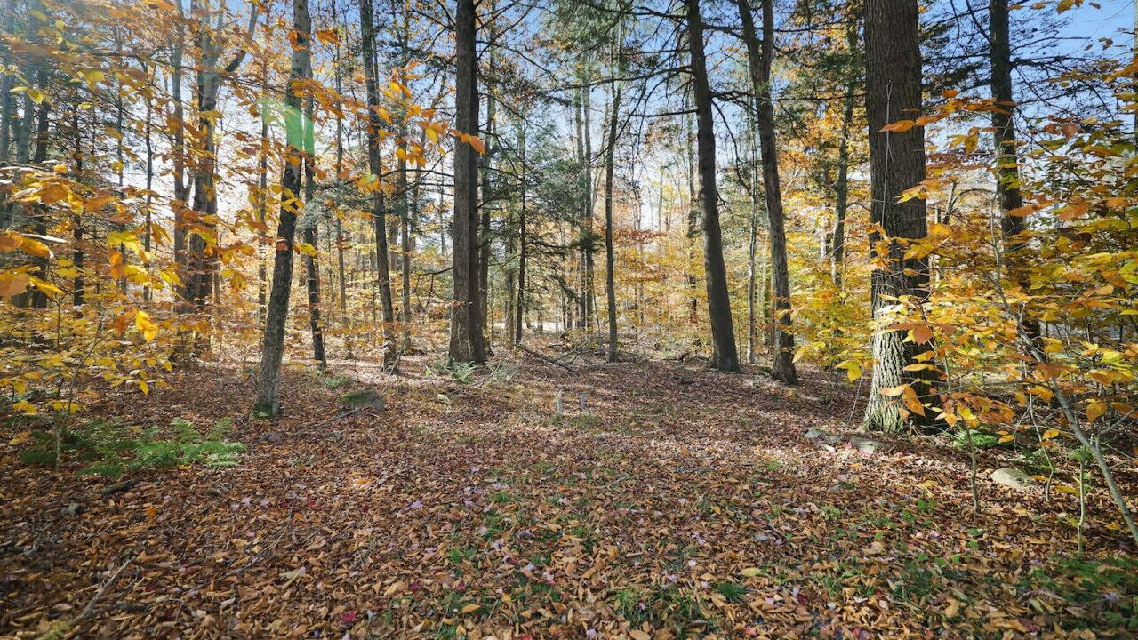Photo of Others in Pocono Pines